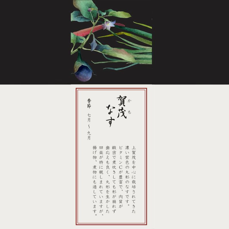 京香旬彩　マグペアセット（絵変り）　[1620-35L/P94555]-4