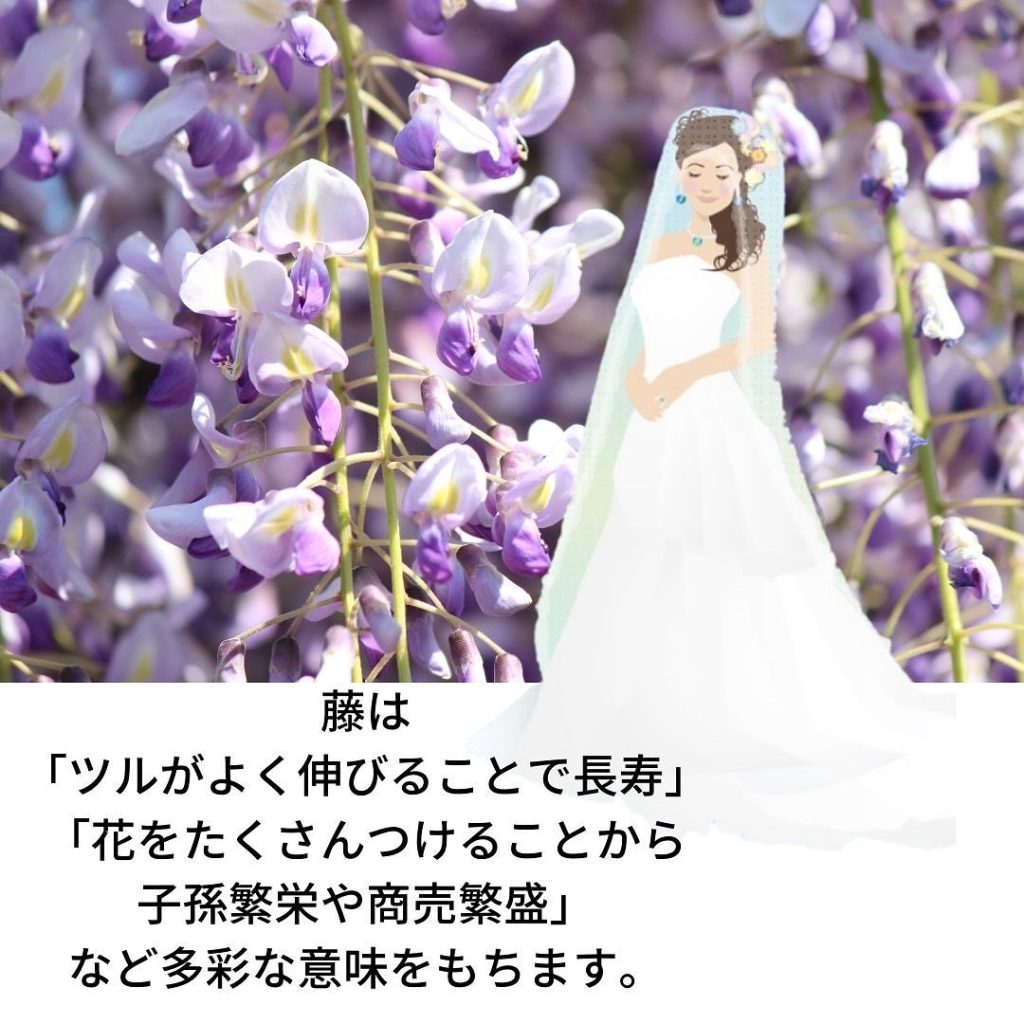 藤の花を背景に新婦の姿