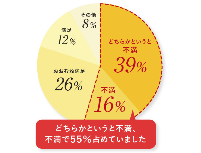 どちらかというと不満、不満で５５％を占める