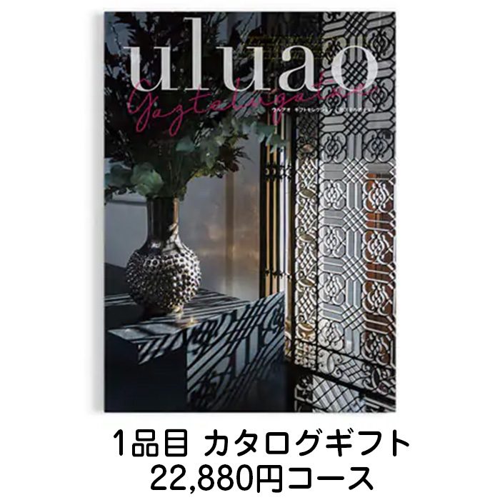 　【持込み同梱料0円キャンペーン】3品セット23960円コース　[agset12]-2