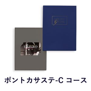 uluao(ウルアオ)ポントカサステ　カード　[20138016]