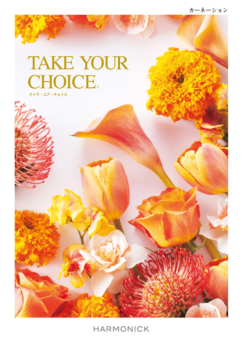 TAKE　YOUR CHOICE　カーネーション　[TK-06]