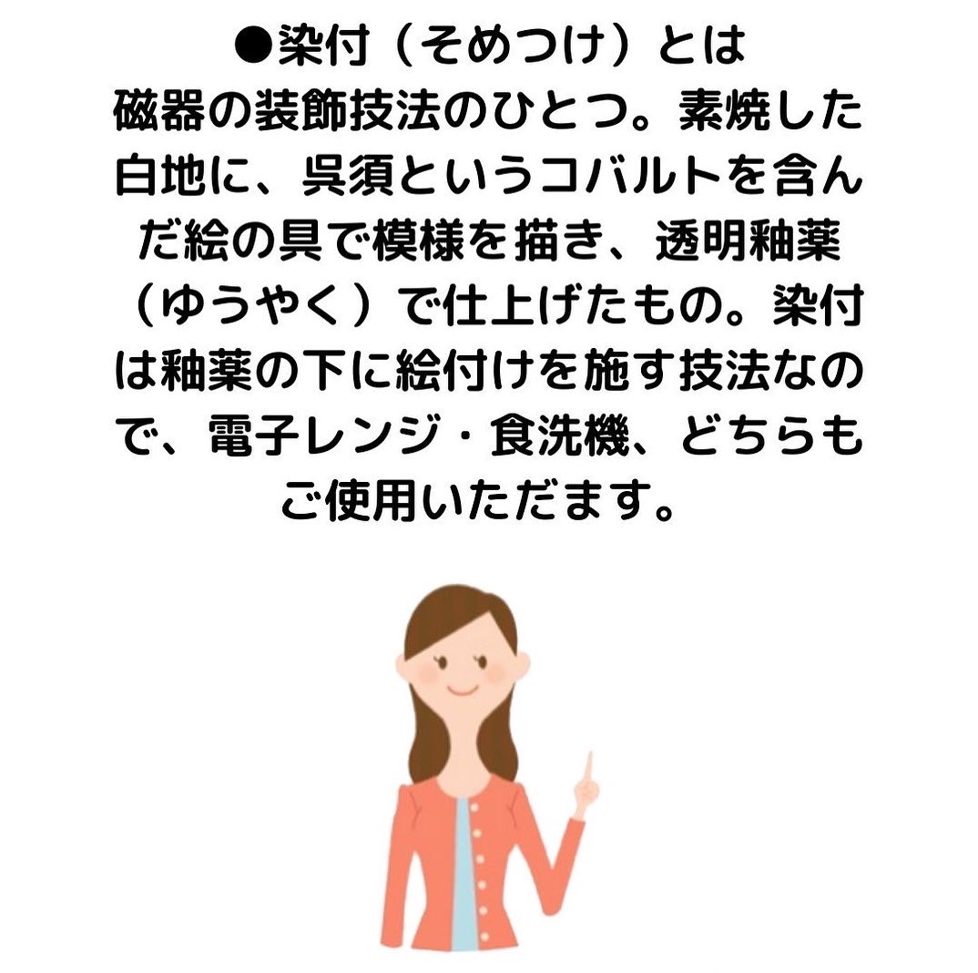 染付とは？女性のイラストがご案内