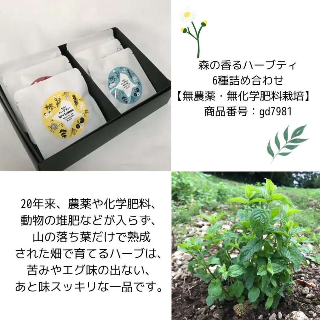 森の香るハーブティ 6種詰め合わせ 【無農薬・無化学肥料栽培】