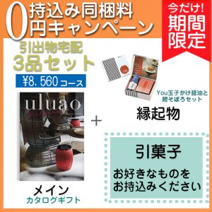 　【持込み同梱料0円キャンペーン】3品セット8560円コース　[agset6]