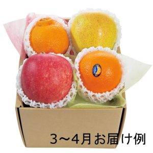 おまかせ旬のフルーツBOX（A）　[91025-01]