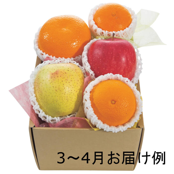 おまかせ旬のフルーツBOX（B）　[91025-02]