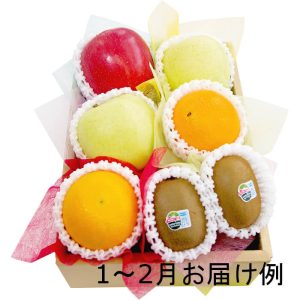 おまかせ旬のフルーツBOX（C）　[92011-03][91025-03]