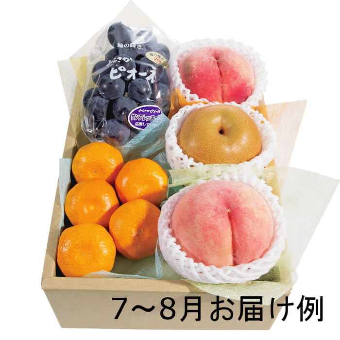おまかせ旬のフルーツBOX（E）　[92011-05][91025-05]-2