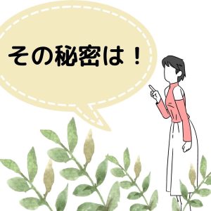 女性が「その秘密は！」とコメントしている