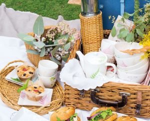 Foret　ポット茶器