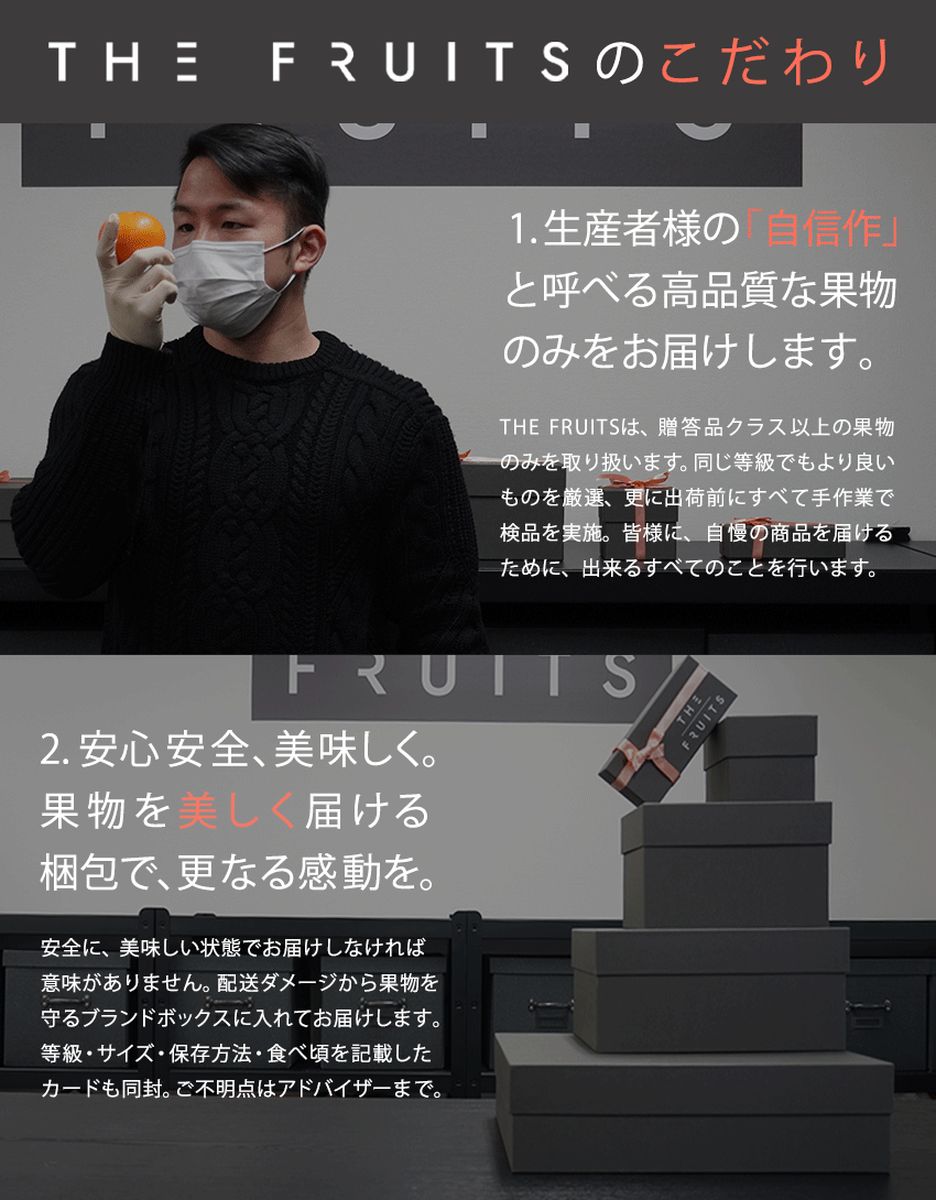 THE FRUITS　国産バナナ ※クール便で発送【送料無料】　[TF001]-3