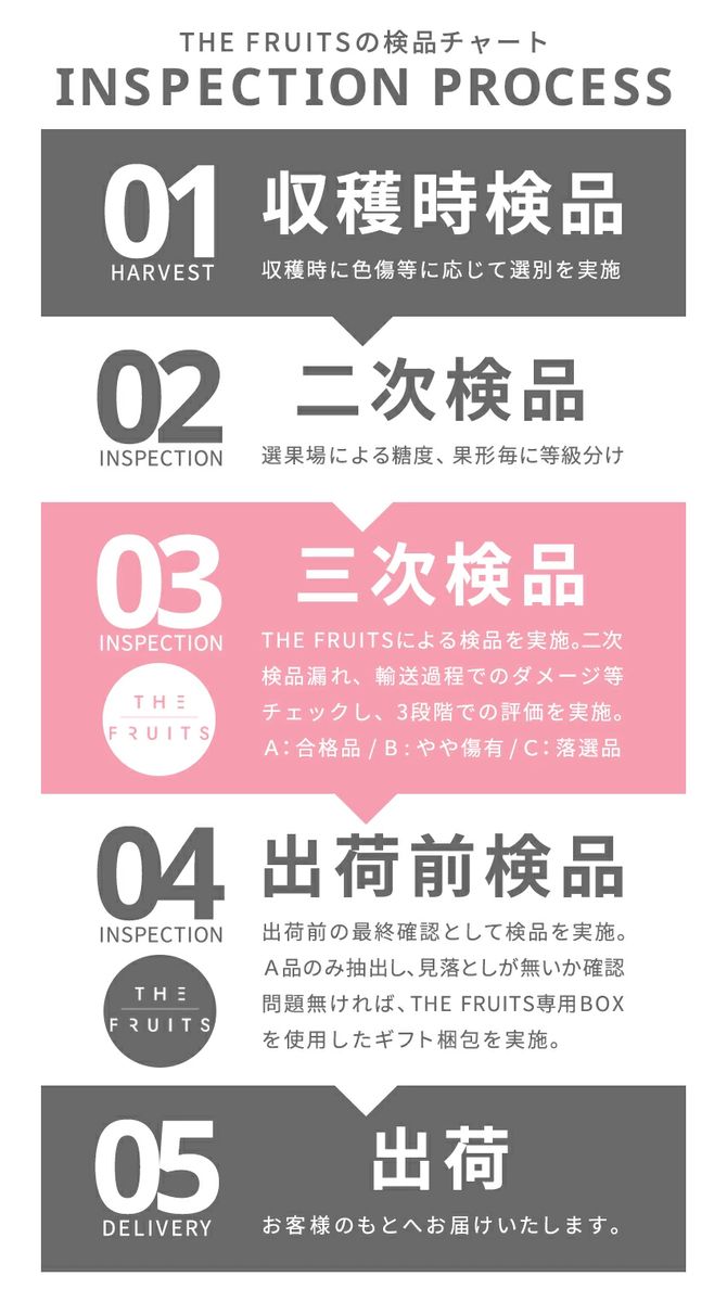 THE FRUITS　アローマメロン ※クール便で発送【送料無料】　[TF01]-5