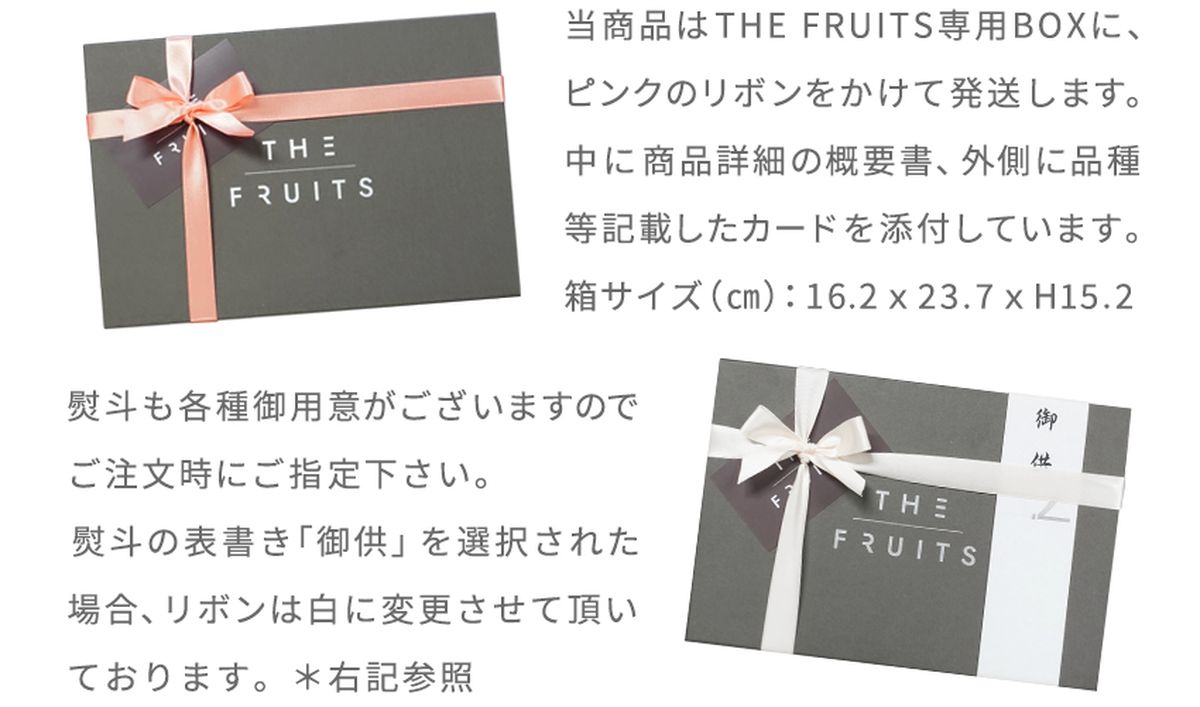 THE FRUITS　アローマメロン ※クール便で発送【送料無料】　[TF01]-7