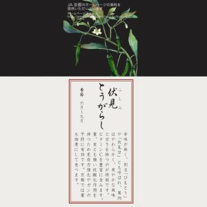 [1620-37L/F94502]京香旬彩　11cmボウルセット（5個）（絵変り）