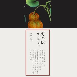 [1620-37L/F94502]京香旬彩　11cmボウルセット（5個）（絵変り）