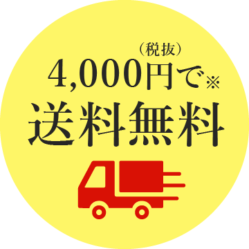 4,000円（税抜）で送料無料