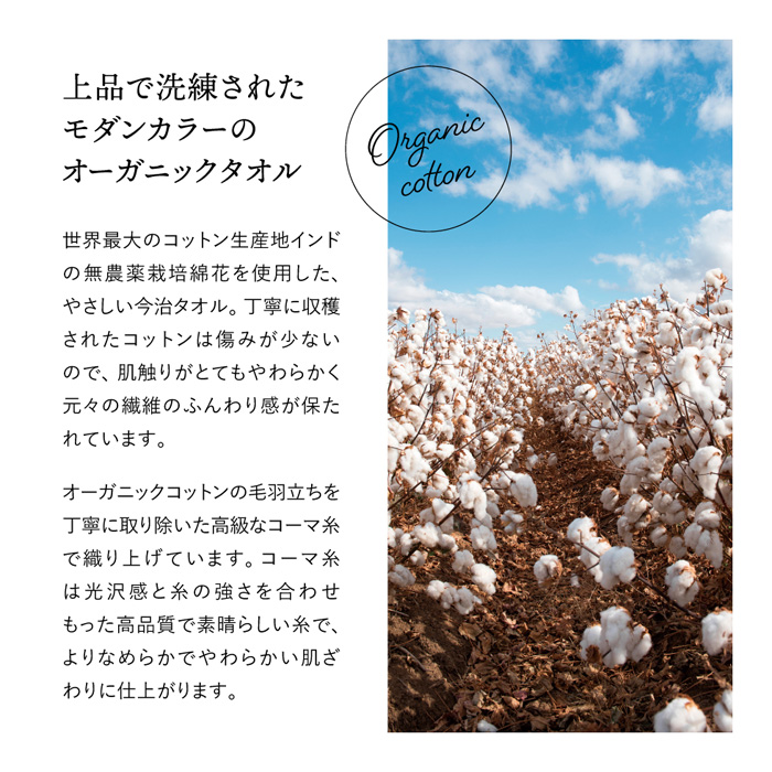 マスタ−ドオ−ガニック　オ−ガニックタオルセット[45100]-4